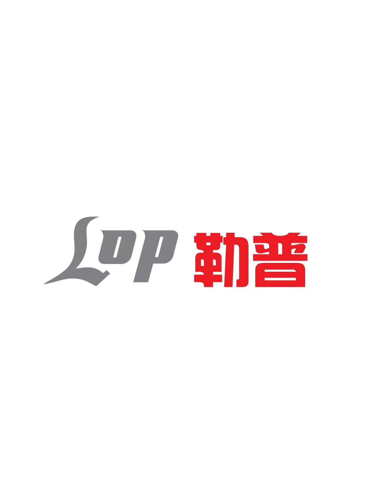 ZHEJIANG LEPU ELECTROMECHANICAL TECHNOLOGY CO. , LTD.