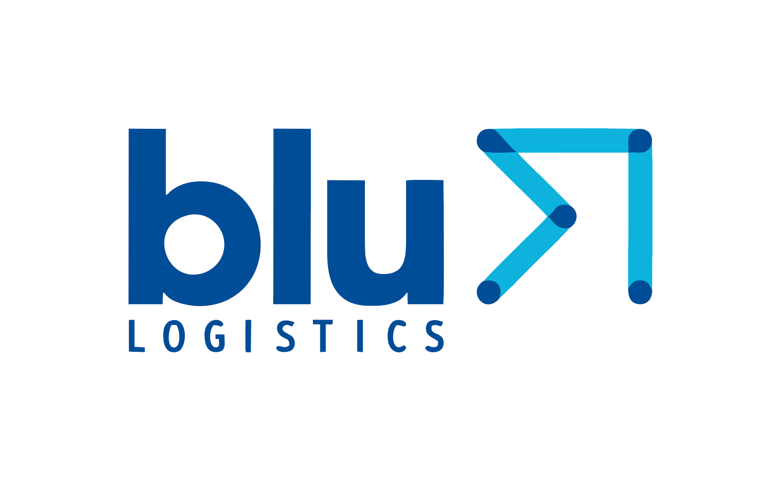 BLU LOGISTICS (CHINA) CO., LTD.