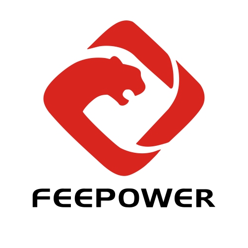 FEEPOWER INC